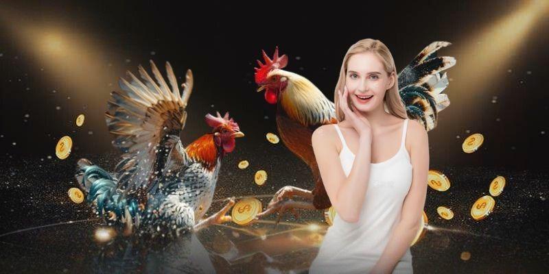 Chiến Thuật Trong Đá Gà TX88 – Bí Quyết Chiến Thắng Tối Ưu