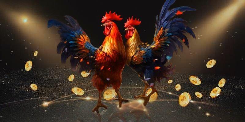 Yếu Tố Quyết Định Thắng Thua Trong Đá Gà TX88