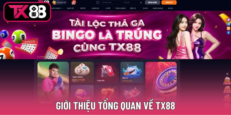Khái quát về thương hiệu TX88